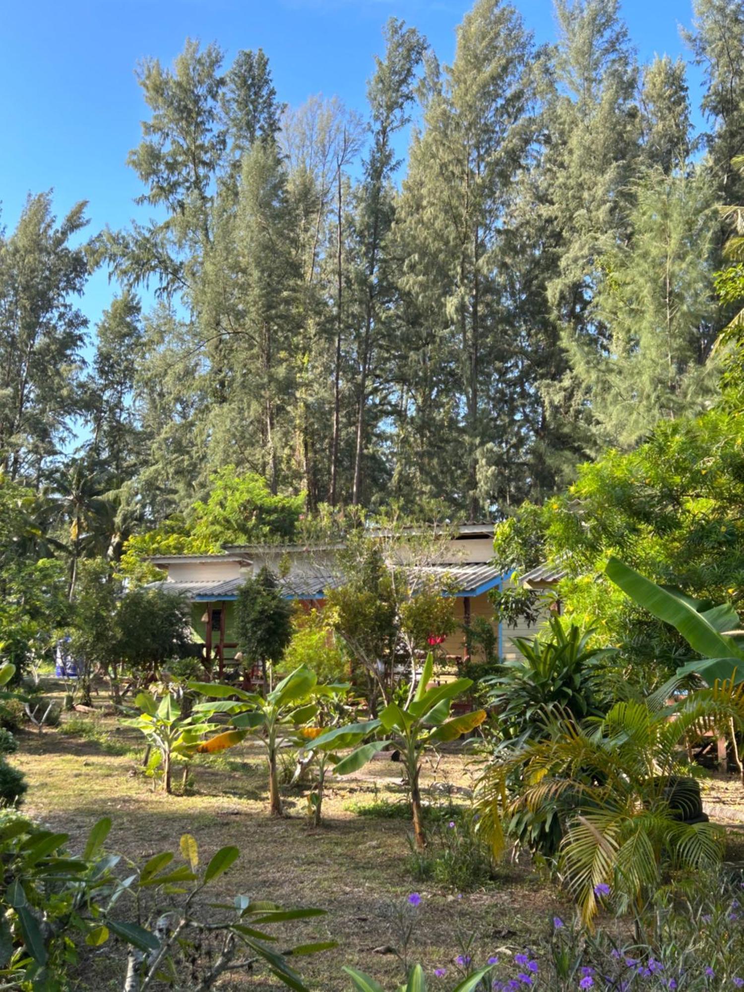 Neverland Beach Village Bungalows Ко-Ланта Екстер'єр фото