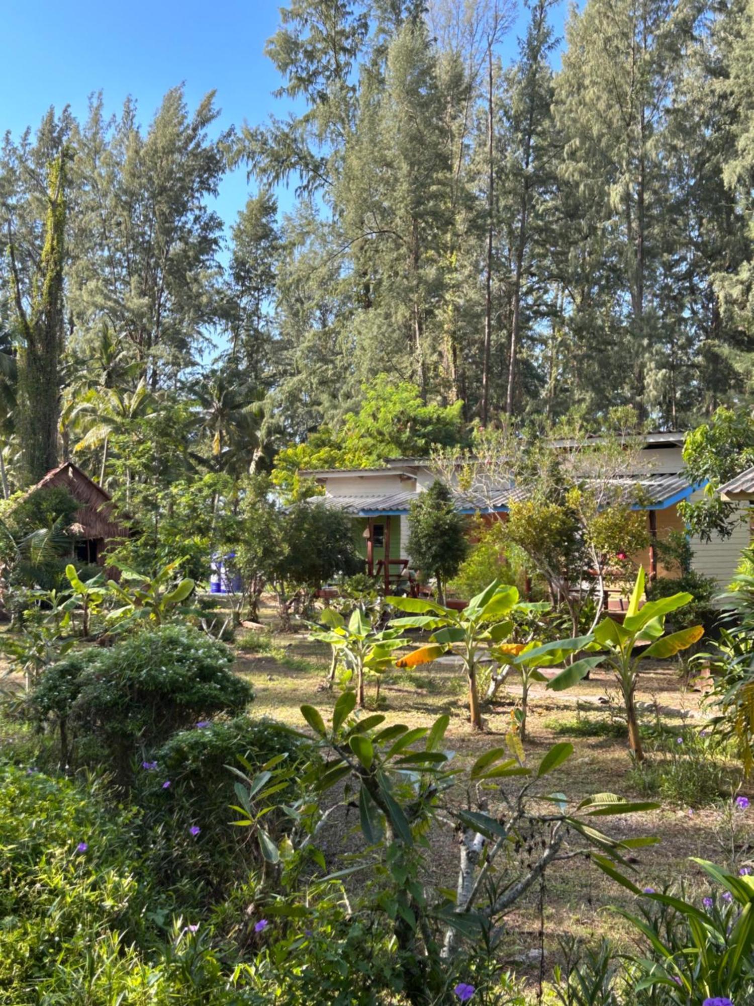 Neverland Beach Village Bungalows Ко-Ланта Екстер'єр фото